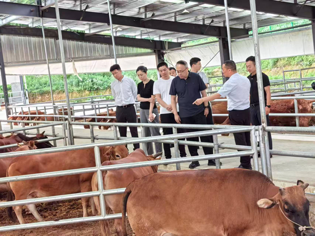 中国华亿在线党委委员、纪委书记唐学智赴思南县调研定点帮扶工作并接送挂职干部